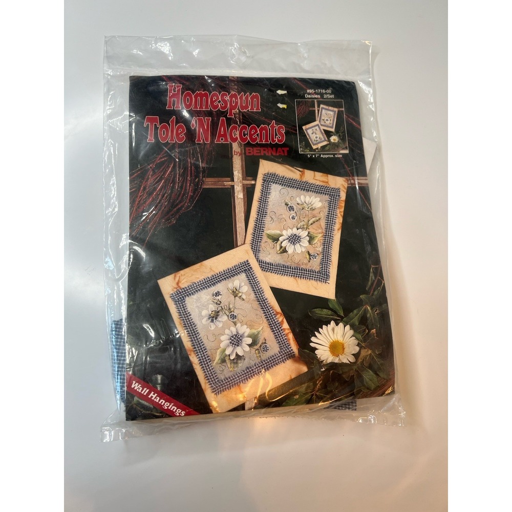 Homespun Tole 'n Accents By Bernat #95-1716-00 Daisies Wall Hangings